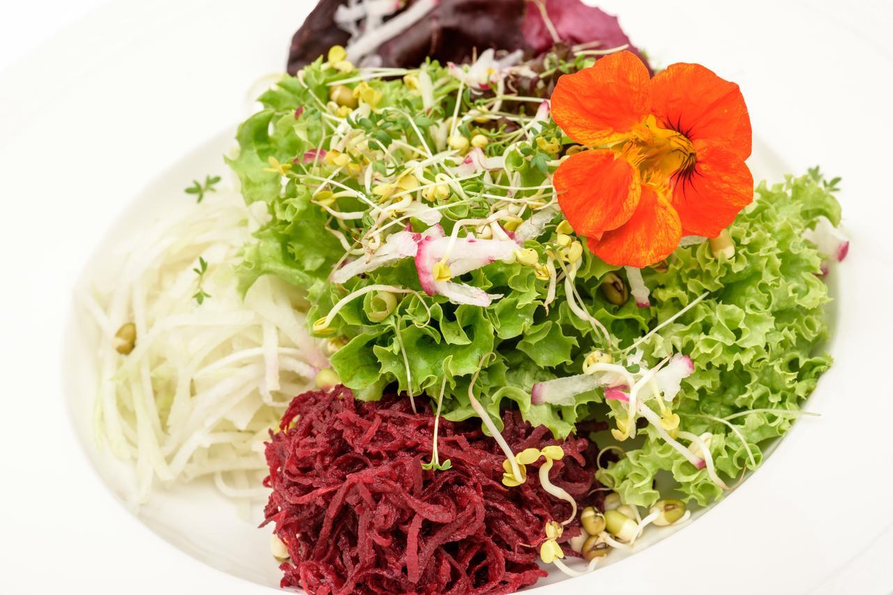 Berghues Schratt - Einfach Anders - Ihr Vegetarisches Und Veganes Biohotel Oberstaufen Eksteriør billede