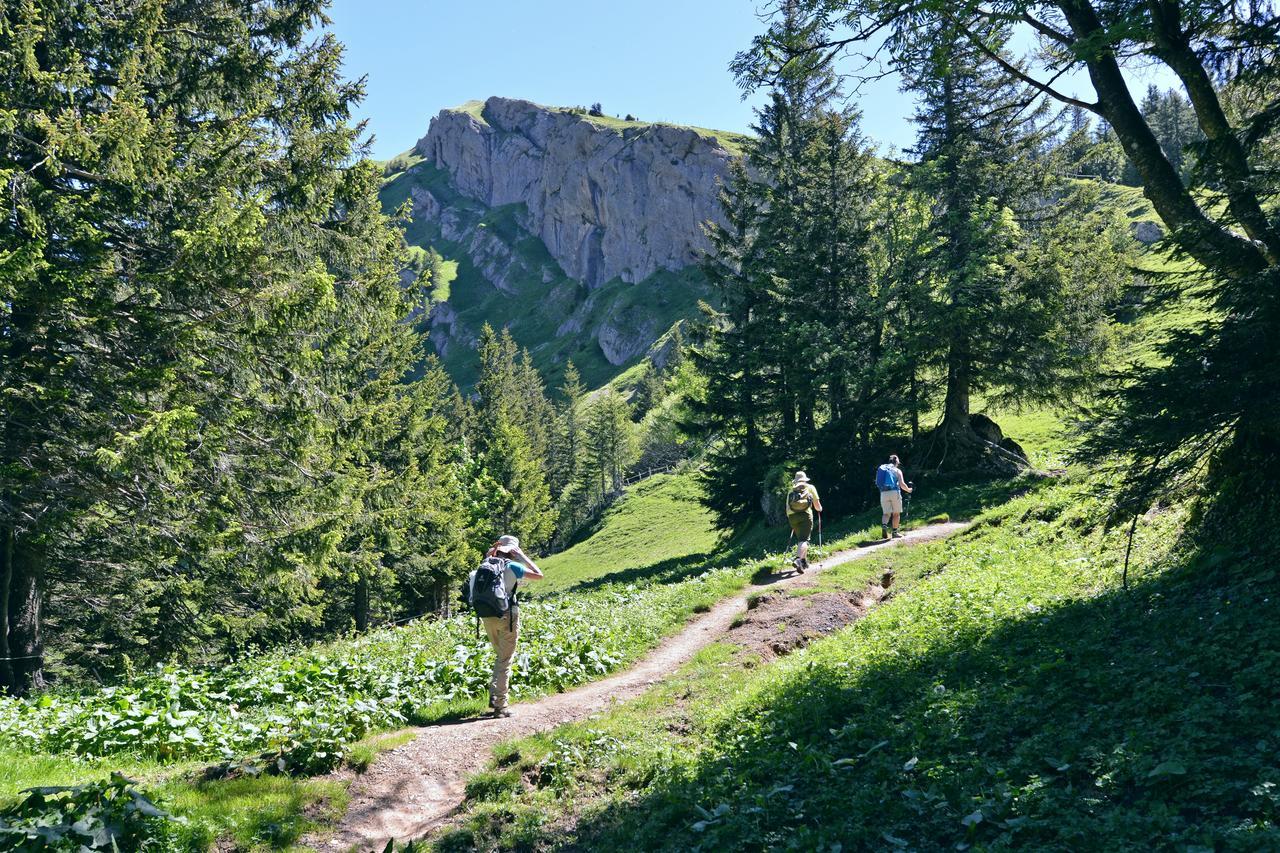 Berghues Schratt - Einfach Anders - Ihr Vegetarisches Und Veganes Biohotel Oberstaufen Eksteriør billede
