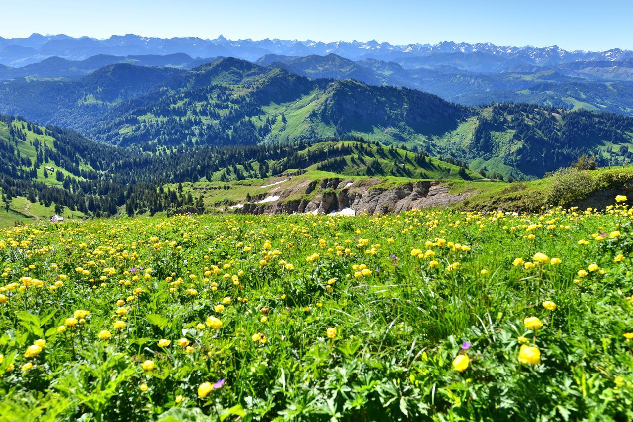 Berghues Schratt - Einfach Anders - Ihr Vegetarisches Und Veganes Biohotel Oberstaufen Eksteriør billede